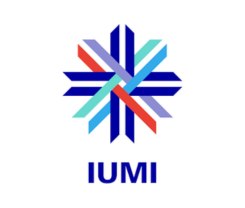 International Union of Marine Insurance