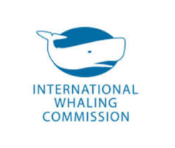 Comisión Ballenera Internacional - CBI