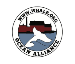 Ocean Alliance