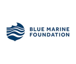 Blue Marine Foundation