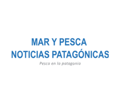 Mar y Pesca Noticas Patagónicas  