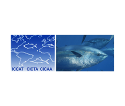 Comisión Internacional para la Conservación del Atún Atlántico - ICCAT