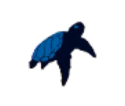 Convención Interamericana para la Protección y Conservación de las Tortugas Marinas